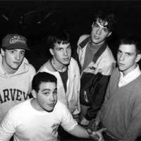 Gorilla Biscuits