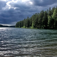 Coast of Berestovoe Lake, San Petersburgo