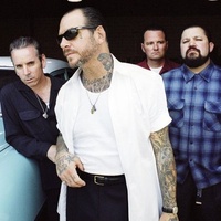 Social Distortion