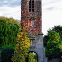 Saint Anne's Park, Dublín