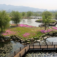 Samnak Ecological Park, Busan