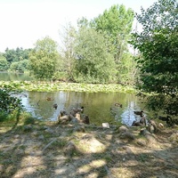 Parc des Gayeulles, Rennes