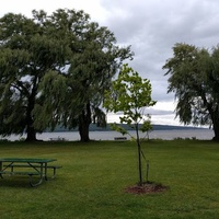 Stewart Park, Ithaca, NY