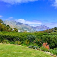 Suikerbossie, Hout Bay