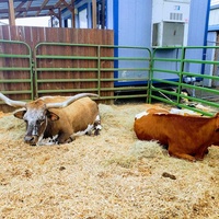 Tillamook County Fairgrounds, Tillamook, OR