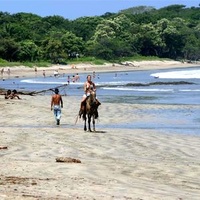 Tamarindo