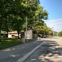 Nichols, NY