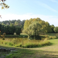 Parque Municipal, Oporto