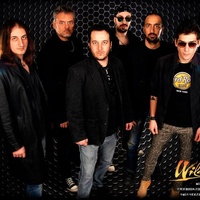 Wild Rose 2025 Wild Rose