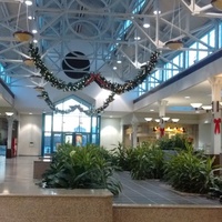 Conciertos de rock en Northfield Square Mall, Bourbonnais, IL Northfield Square Mall, Bourbonnais, IL