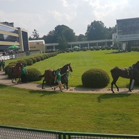 Sluzewiec Racetrack, Varsovia