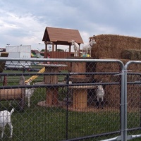 Delaware County Fairgrounds, Manchester, IA