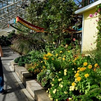 Foellinger-Freimann Botanical Conservatory, Fort Wayne, IN