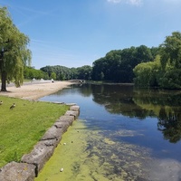 Zuiderpark, Róterdam