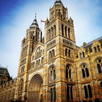 Natural History Museum, Londres