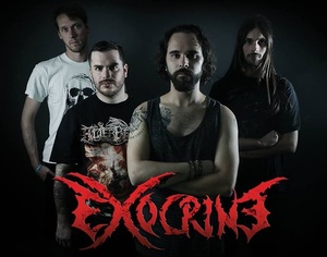 Exocrine