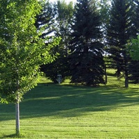 Park96, Calgary