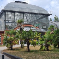 Palmengarten Musikpavillon, Fráncfort