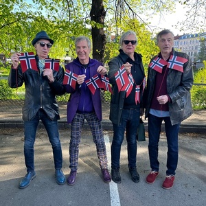 The Fleshtones