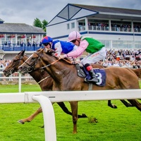 Conciertos de rock en Royal Windsor Racecourse, Windsor Royal Windsor Racecourse, Windsor
