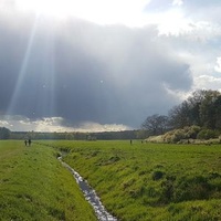 Hoppegarten