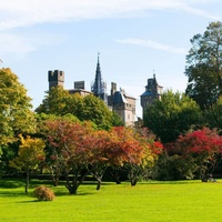 Bute Park, Cardiff