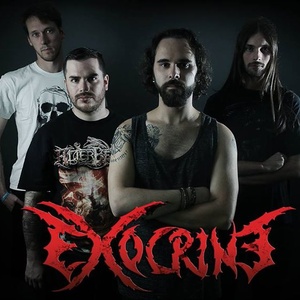 Exocrine