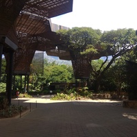 Orquideorama Jardin Botanico, Medellín