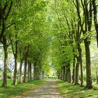 Parc des Cultures de Saint-Jacques, Laval, QC