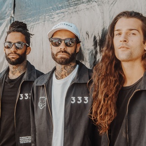 FEVER 333