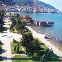 Ordu