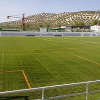 Campo de Fútbol, Escañuela