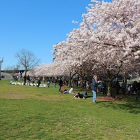 Tom McCall Waterfront Park, Portland, OR