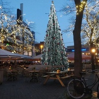 Grote Markt, La Haya