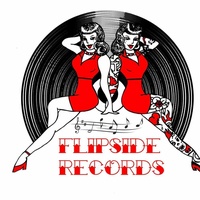 Flipside Records, Detroit, MI