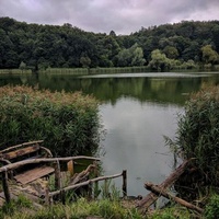 Holosiivskyi National Natural Park, Kiev