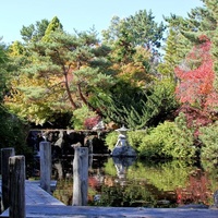 Royal Tasmanian Botanical Gardens, Hobart