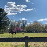 Eagle's Nest Farm, Brockway, PA