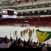 Isomäki Areena, Pori