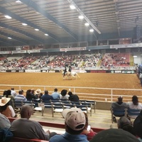 Mesquite Arena, Mesquite, TX