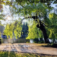 Cannon Hill Park, Birmingham