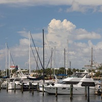 Downtown, San Petersburgo, FL