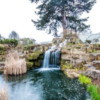 Royal Botanic Gardens, Londres