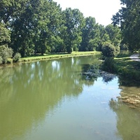 Sitio del festival TONNAY BON, Tonnay-Boutonne