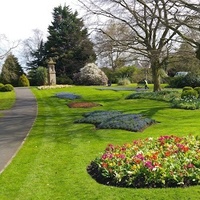 Musgrave Park, Cork