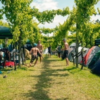 Waiohika Estate, Gisborne