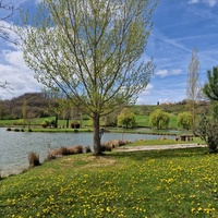 Lac de Parisot, Montauban