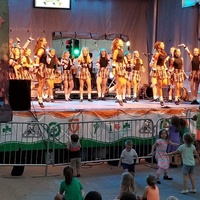 Sitio del Festival Irlandés de Iowa, Waterloo, IA