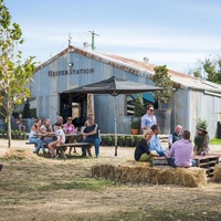 Heifer Station Wines, Orange