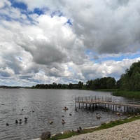 Shoreline of Lake Smolinskoe, Palkino